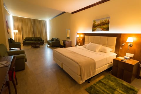 Executive Room, 1 King Bed, Non Smoking | Minibar, in-room safe, desk, laptop workspace