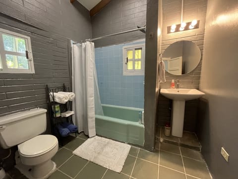 Deluxe Bungalow | Bathroom | Shower, hair dryer, towels, soap