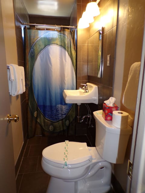 Room 1 | Bathroom | Free toiletries, towels