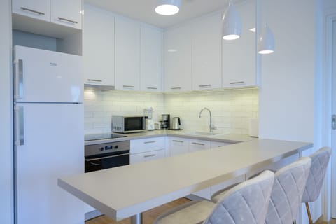 Deluxe Apartment | Private kitchen | Fridge, microwave, oven, stovetop