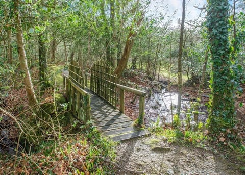 Ruthern Valley Holidays, Ruthernbridge, Nr Bodmin