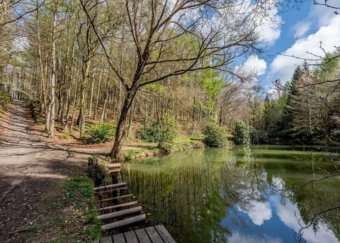 Bulworthy Forest Lodges, Webbery, Bideford