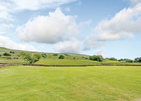 The park setting | Bainbridge Ings, Hawes,