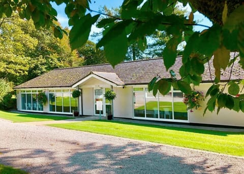 Woodovis Park, Tavistock