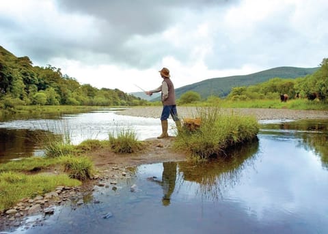 Angecroft Park, Ettrick Valley, Nr Hawick