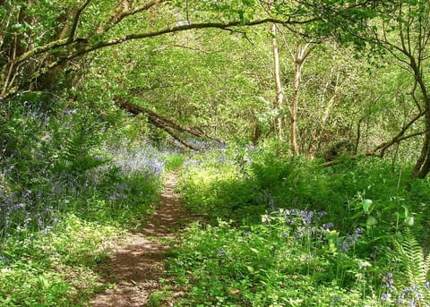 Millendreath Beach Resort, Millendreath, Looe