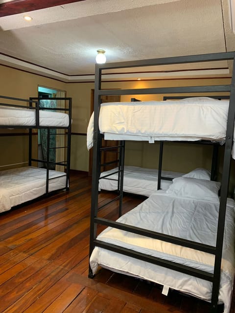 Basic Shared Dormitory (8 Beds) | Free WiFi