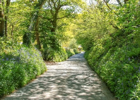 Millendreath Beach Resort, Millendreath, Looe