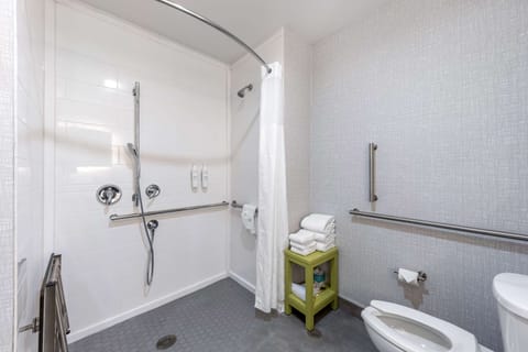 Room, 1 King Bed, Accessible (Mobility, Hearing, & Roll-In Shower) | Bathroom shower