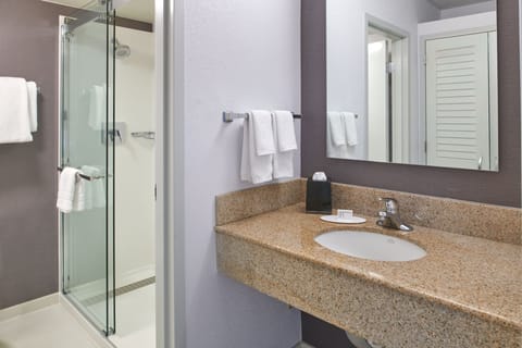 Combined shower/tub, eco-friendly toiletries, hair dryer, towels