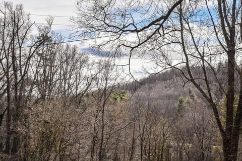 Enjoy the mountains of Western North Carolina