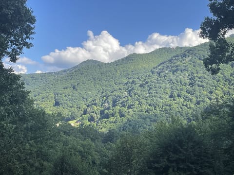 Amazing views from the front decks.