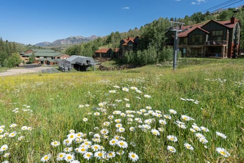 7.0-terraces-1301-telluride-vacation-rental-ski-run2