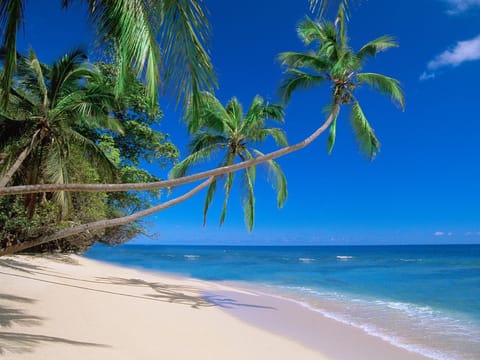 Beach nearby, sun loungers, beach umbrellas