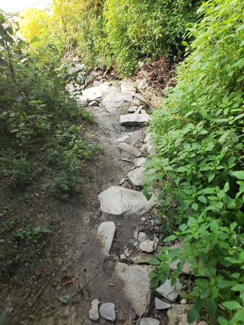 Path down to the neighborhood beach at Chautauqua Park