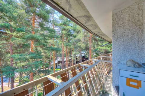 Family Apartment, 1 Bedroom (La Tana dello Scoiattolo (Skiing) | Balcony