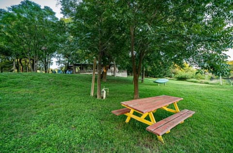 You want to play some freesbees 