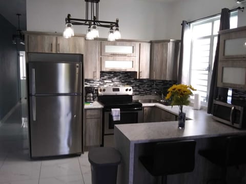 Luxury Condo | Private kitchen | Full-size fridge, microwave, oven, stovetop