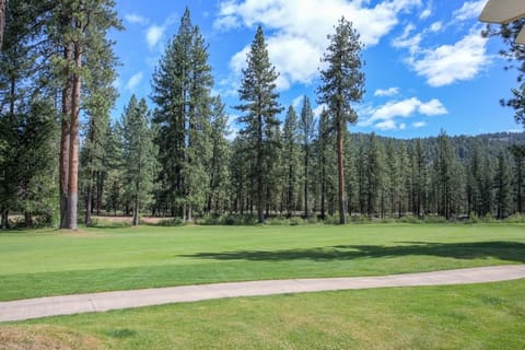 Vacation in the pines....