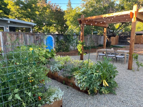 The garden is for your picking - tomatoes, squash, zucchini, herbs.