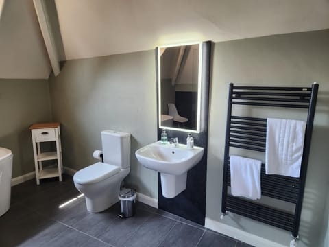Executive Double Room | Bathroom | Free toiletries, hair dryer, towels