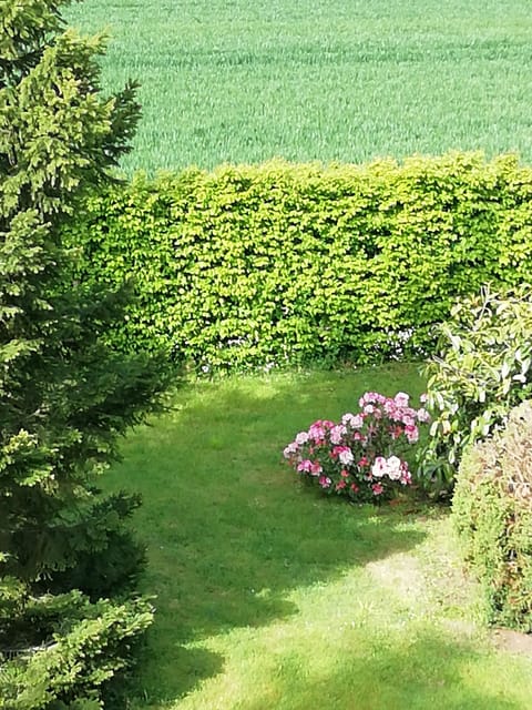 Deluxe Room, Hot Tub, Garden Area | View from room