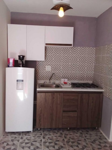 Deluxe Studio Suite, 1 Bedroom | Private kitchen | Full-size fridge, microwave, toaster, blender