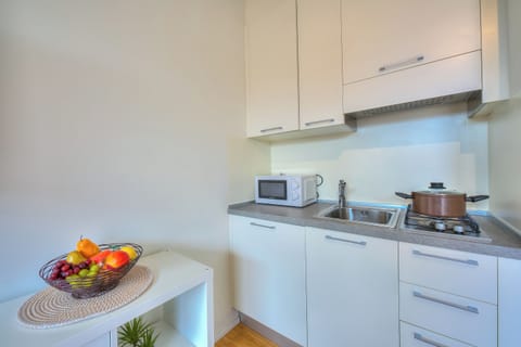 Standard Studio, Mountain View (Cosy Home Lugano Few Min From Lake) | Private kitchenette | Fridge, microwave, stovetop, coffee/tea maker