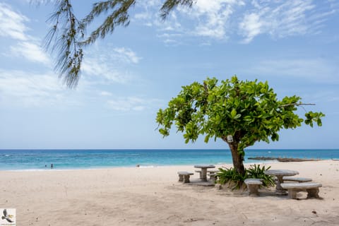 Private beach nearby, white sand, free beach cabanas, beach bar