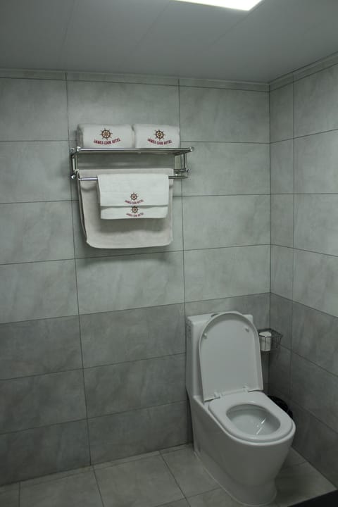 Standard Room, 1 King Bed | Bathroom | Shower, rainfall showerhead, free toiletries, hair dryer