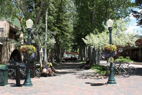 Enjoy downtown Aspen steps away