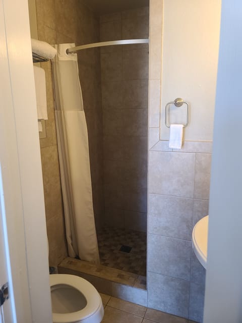 Basic Single Room | Bathroom | Shower, free toiletries, towels, soap