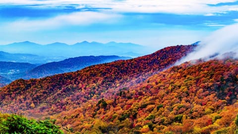 The Smokies are one of the top vacation spots in the US. Why? Well, just look how gorgeous the mountains are!