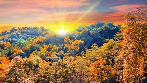 The Smokies is one of the top vacation spots in the US. It's a great place for your much needed relaxation and escape from the busy world. Why? Well, just look at how gorgeous the mountains ar