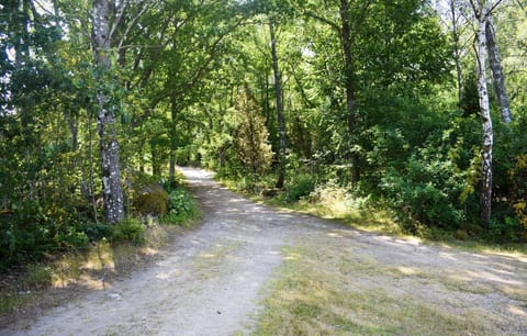 area