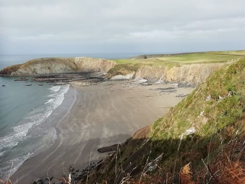 House, 2 Bedrooms, Patio, Garden View | Beach