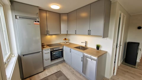 Superior Apartment | Private kitchen | Full-size fridge, microwave, oven, stovetop