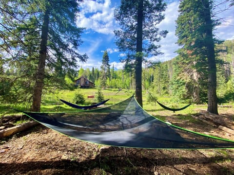 Hammock Area across the pond.