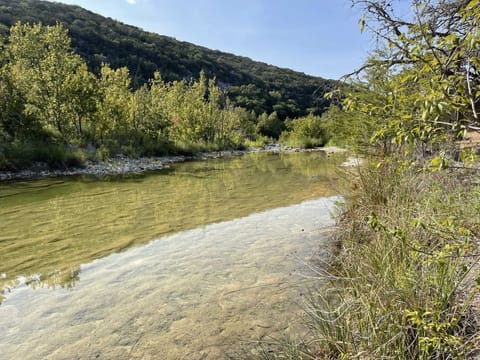 A tranquil, clear-water creek flows gently through a sunlit landscape, bordered by lush green trees and a grassy bank under a bright blue sky.