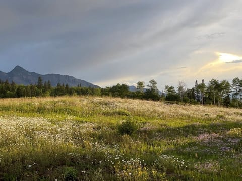 Wilson and Sunshine Peak views across the open meadow
