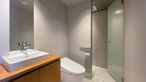 Standard Single Room | Bathroom | Hair dryer, electronic bidet, towels, soap