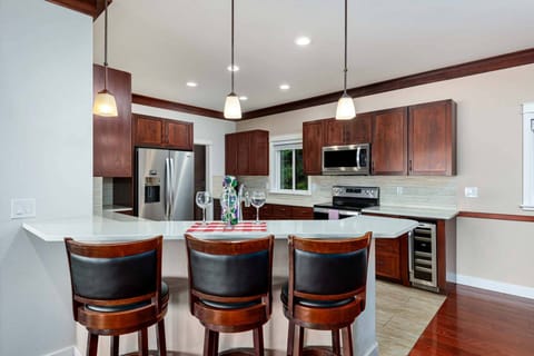 Counter bar and kitchen