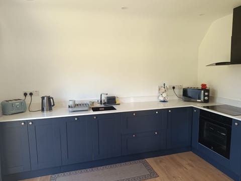 House | Private kitchen | Fridge, microwave, oven, stovetop