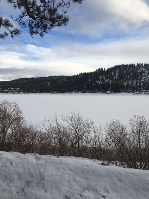 Frozen lake (Winter)