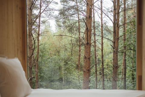 Luxury Cabin | View from room