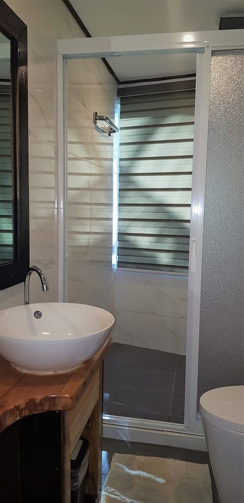 Deluxe Seaview | Bathroom | Shower, hair dryer, towels