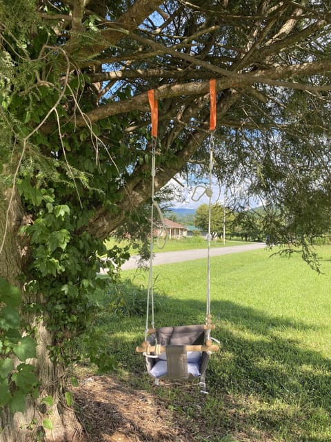Baby swing!