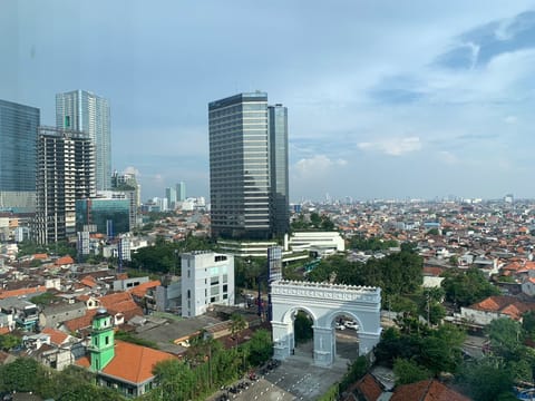 City view from property