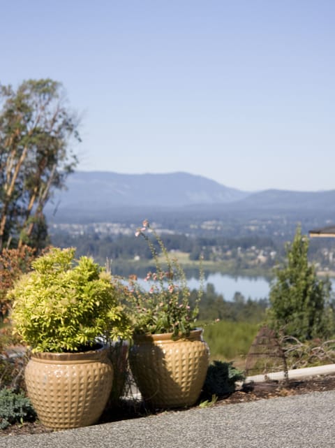 View of Quamichan Lake, Mount Prevost from the Apartment Walkway