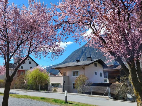 Plant, Sky, Building, Daytime, Property, Flower, Window, Tree, Leaf, Blue